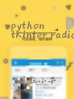 python tkinter radiobutton