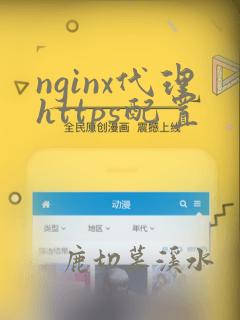nginx代理https配置