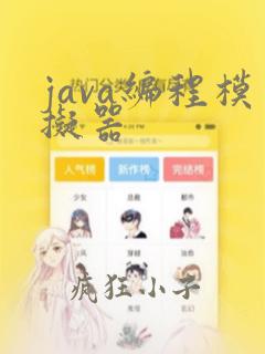 java编程模拟器
