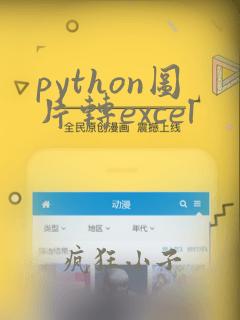 python图片转excel