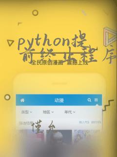 python提前终止程序