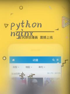 python nginx