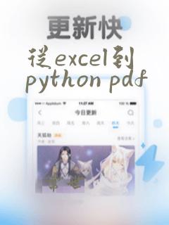 从excel到python pdf