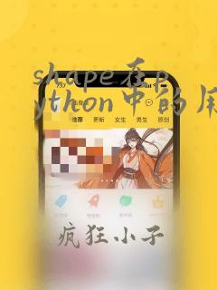 shape在python中的用法