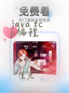 java tcp编程