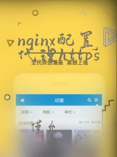nginx配置代理https