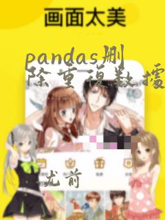 pandas删除重复数据