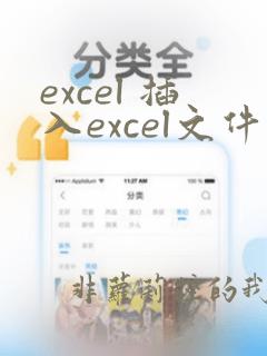 excel 插入excel文件