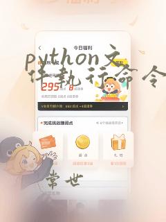 python文件执行命令