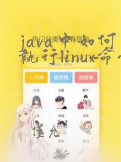 java中如何执行linux命令