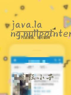java.lang.nullpointerexception 翻译