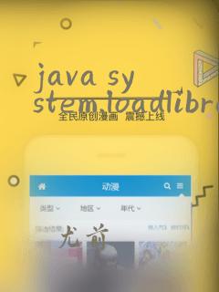 java system.loadlibrary
