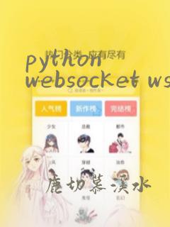python websocket wss