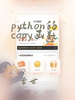 python的copy函数