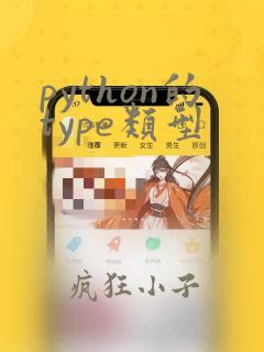 python的type类型