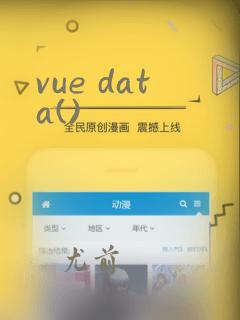 vue data()