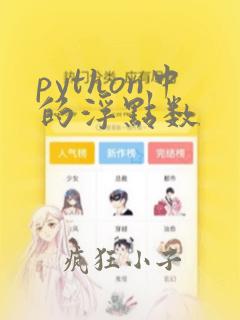 python中的浮点数