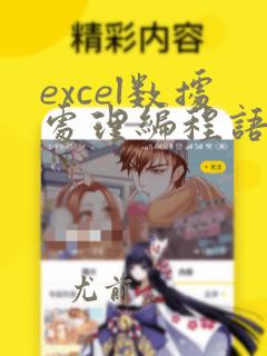 excel数据处理编程语言