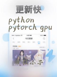 python pytorch gpu