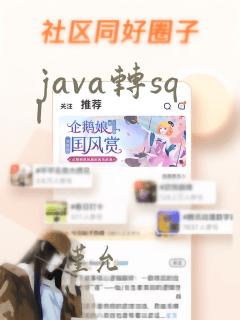 java转sql