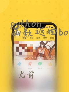 python 函数返回bool