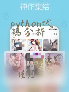 python代码分析