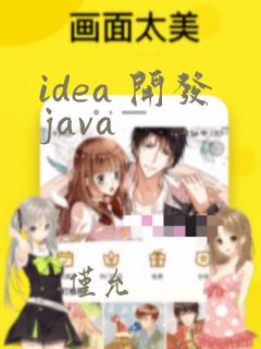 idea 开发java