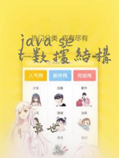 java set 数据结构