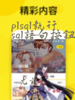 plsql执行sql语句按钮
