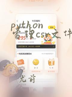 python 处理csv文件