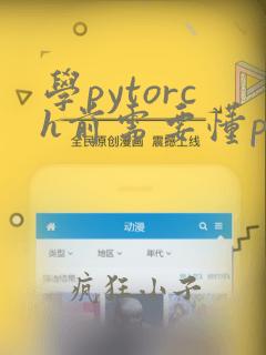 学pytorch前需要懂python吗