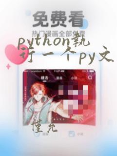 python执行一个py文件
