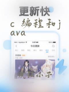 c  编程和java