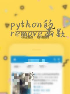 python的remove函数