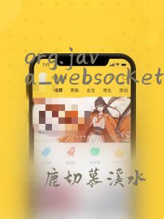 org.java_websocket.websocket