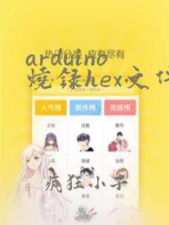 arduino烧录hex文件