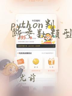python判断参数类型