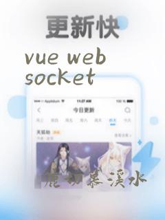 vue websocket