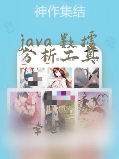 java 数据分析工具