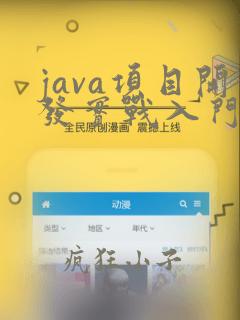 java项目开发实战入门
