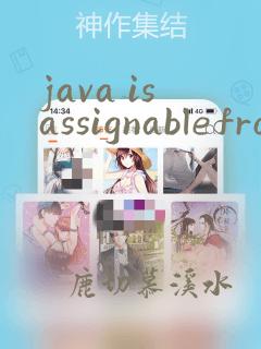 java isassignablefrom