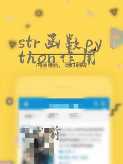 str函数python作用