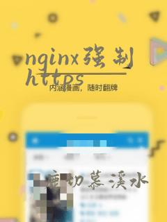 nginx强制https