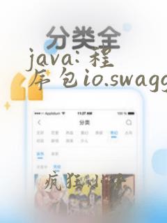 java: 程序包io.swagger.annotations不存在