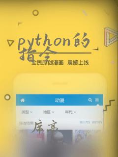 python的指令