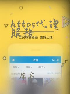 https代理服务