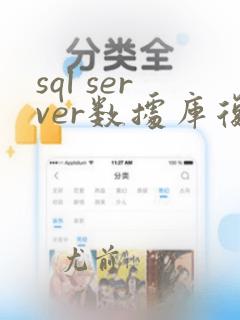 sql server数据库复制到另一台设备
