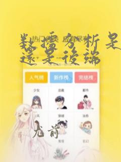 数据分析是前端还是后端
