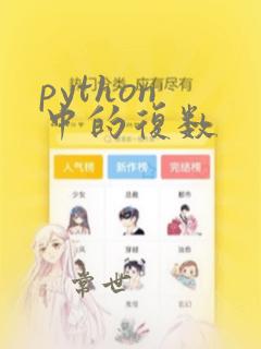 python 中的复数
