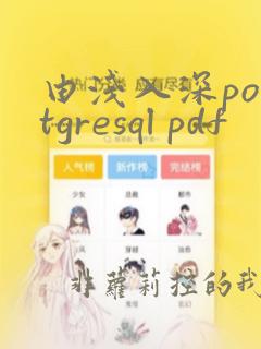 由浅入深postgresql pdf